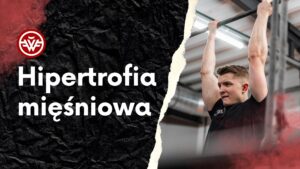Hipertrofia mięśniowa - Kamil Polewczyk - FitWujek - Baza Wiedzy