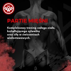 Trening siłowo-sprawnościowy - partie mięśni